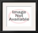Buy Like a Grape with Scissors at AllPosters.com