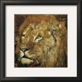 Buy Lion Portrait at AllPosters.com