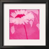 Buy Boshoku at AllPosters.com