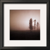 Buy Bordeaux Trees at AllPosters.com