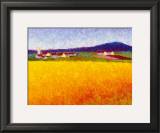 Fields of Gold