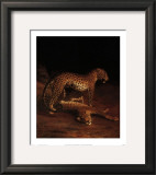 Buy Two Leopards Playing in the Exeter Change Menagerie, c.1808 at AllPosters.com