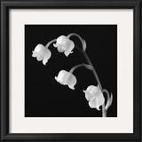 Buy Spring Bells I at AllPosters.com