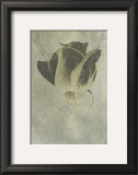 Buy Silver Stem II at AllPosters.com