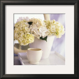 Hortensias Blancs