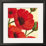 Hawaiian Poppies