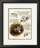 Buy Fox Study at AllPosters.com