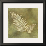 Buy Organic Fern at AllPosters.com