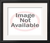 Buy Joy, Joy, Joy at AllPosters.com