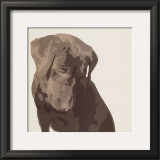 Buy Chocolate Labrador at AllPosters.com