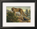 Buy Curiosity at AllPosters.com