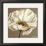 Buy Rose Blanche at AllPosters.com