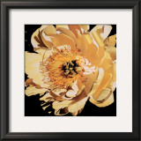 Buy Yellow Peony at AllPosters.com