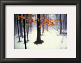 Buy Quiet Woods at AllPosters.com