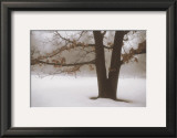 Buy Tranquility at AllPosters.com