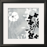 Buy White Shadow at AllPosters.com