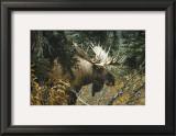 Buy Calm Before the Challenge at AllPosters.com