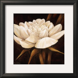 Buy Delightful at AllPosters.com