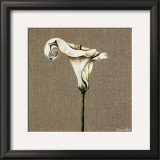 Buy Arum at AllPosters.com