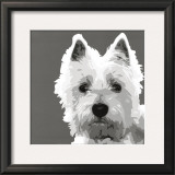 Buy West Highland Terrier at AllPosters.com
