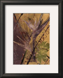Buy Rainforest Suite II at AllPosters.com