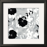 Buy Shadow Flower at AllPosters.com