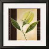 Buy Dancing Leafs at AllPosters.com