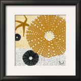 Tidepool Dreams I
