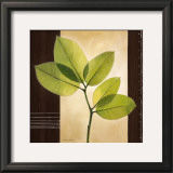 Buy Lucent Leafs at AllPosters.com