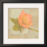 Buy Hellebore I at AllPosters.com