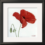 Buy Summertime at AllPosters.com