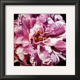 Buy Pink Peony at AllPosters.com