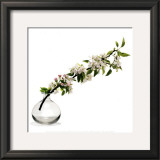 Buy Branche de Pommier at AllPosters.com