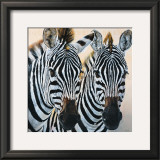 Buy Z&egrave;bres de Gol at AllPosters.com