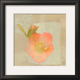 Buy Hellebore II at AllPosters.com