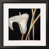 Buy Lily in Sepia I at AllPosters.com