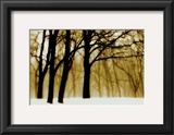 Buy Past Dreams at AllPosters.com