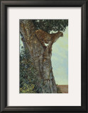 Buy On the Lookout at AllPosters.com