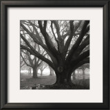 Buy Oak Grove, Winter at AllPosters.com