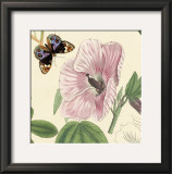 Buy Hibiscus at AllPosters.com