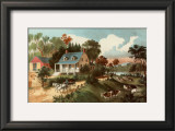 American Homestead Summer
