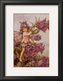 The Canterbury Bell Fairy