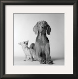 Buy Max and Roxie at AllPosters.com
