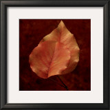 Buy Summerset Gold at AllPosters.com