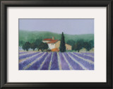 Buy Lavender Field Near St Tropez at AllPosters.com