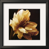 Buy Timeless Grace I at AllPosters.com