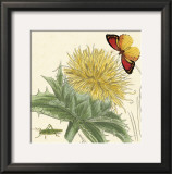 Buy Star Thistle at AllPosters.com