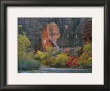 Buy Zion Sinawava at AllPosters.com
