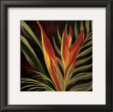 Buy Birds of Paradise II at AllPosters.com