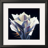 Buy Arid Flower at AllPosters.com